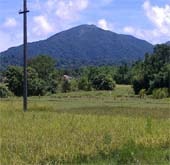 Andaman Lagoons - Popuplar Destination, Place to Visit or Sightseeing - Saddle Peak at Diglipur (North and Middle Andaman) in Andaman Islands